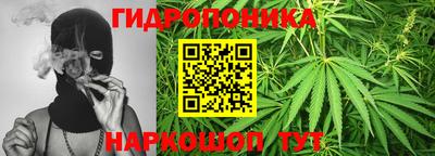 круглые Новозыбков