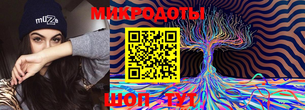 Псилоцибиновые грибы мицелий  Вход с VPN  Псилоцибиновые грибы Psilocybine cubensis  Советск 